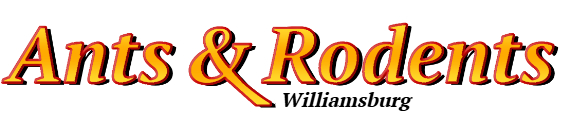 Williamsburg Ant Exterminator & Rodent Control Company Logo